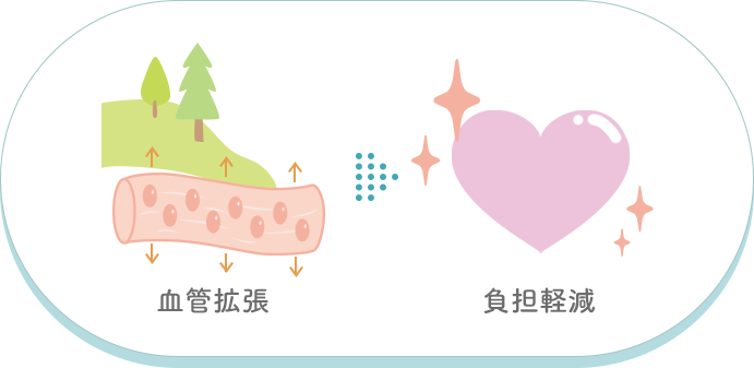 低酸素トレーニングでは血管拡張により心配への負担も軽減されます